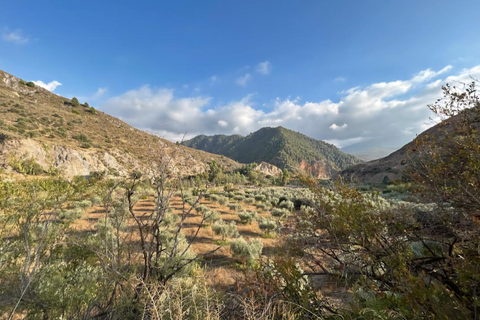 Helårsgrund i Orgiva, Granada, Orgiva - € 85.000 | Ref: OC592 - foto 1